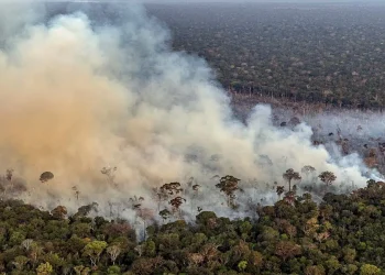 Como o Brasil está agindo para combater o aquecimento global
