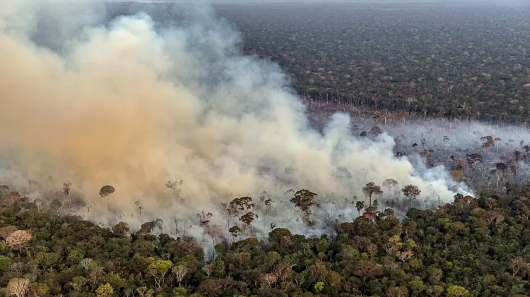 Como o Brasil está agindo para combater o aquecimento global