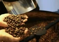 grãos de café