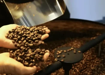 grãos de café
