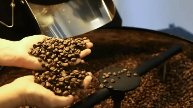 grãos de café